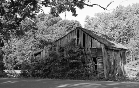 A black and white photo of an old barn on the side of the road.