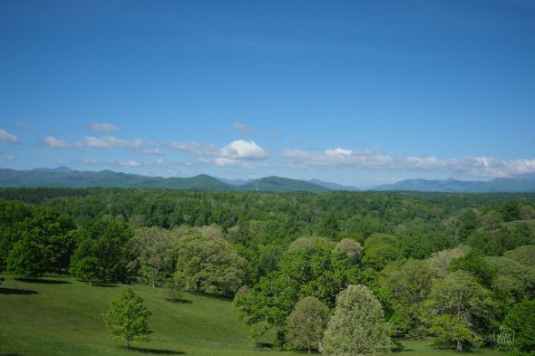 A scenic view of a lush green forest with rolling hills and mountains in the background under a clear blue sky with scattered clouds.