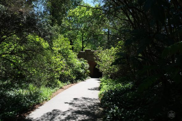 A sunlit path leads to a stone bridge surrounded by lush green foliage and trees.