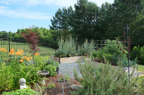 A garden with a variety of plants, including orange flowers, is enclosed by a black fence. Trees and blue sky are visible in the background. Gravel paths separate the garden beds.