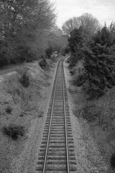 Black and white photo of a railway track curving through a wooded area with leafless trees and shrubs on both sides.