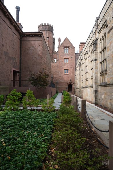 A narrow courtyard with stone buildings, featuring a walkway and greenery, leading towards an arched passageway.