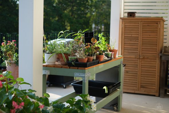 A variety of potted plants on a wooden cart on a patio, with a wooden cabinet in the background.