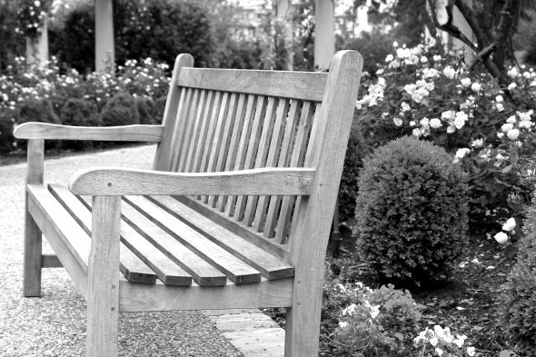 A wooden bench is positioned on a gravel path in a garden surrounded by blooming flowers and shrubs.